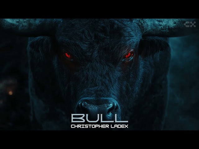 Christopher Ladex - BULL