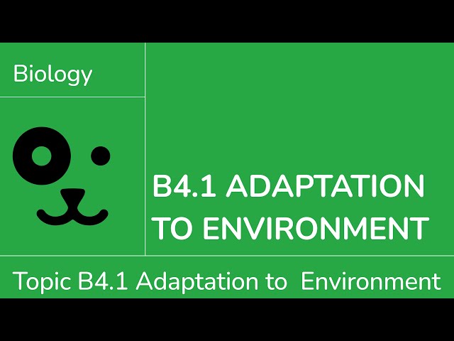 B4.1 Adaptations to the Environment [IB Biology SL/HL]