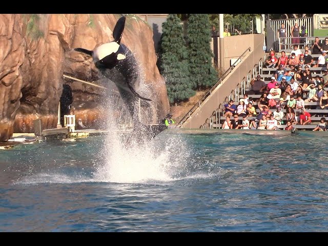 Shouka spin bow with Ulises & Keet at SeaWorld San Diego