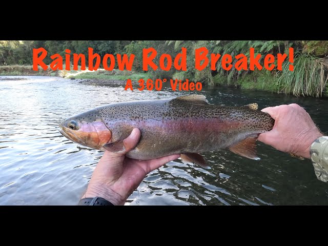 Rainbow Rod Breaker - 360 Video