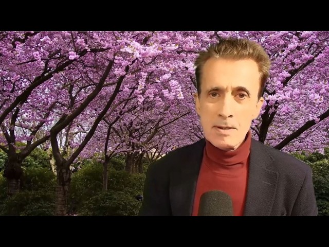 WHO WALKS THE PLANK NEXT?