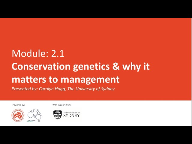 Module 2.1: Conservation genetics and why it matters to management