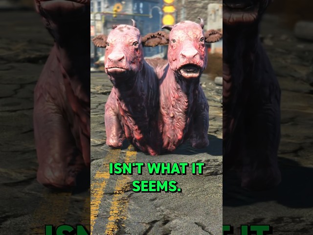 This Brahmin Has A Secret in Fallout 4