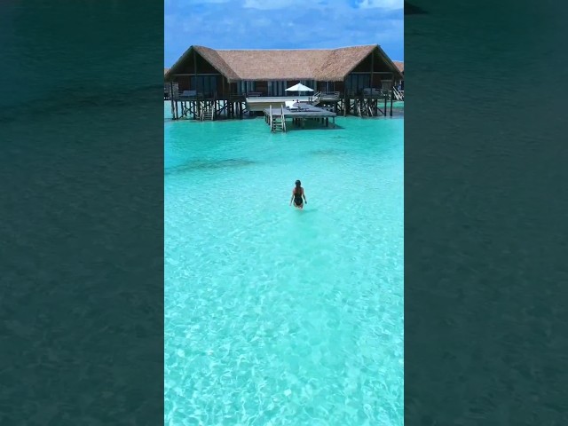 Beautiful Maldives in the 5* resort Como Cocoa Island 🤩🏝️ #maldives #luxurytravel #bestresorts