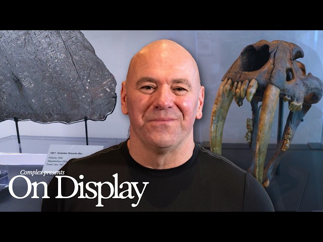 Inside Dana White's Insane Office: $2 Million Card Collection & Rare Memorabilia | On Display