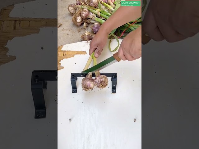 Garlic Stem Cutter 🧄🔪