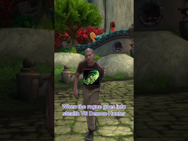 When the rogue goes into stealth vs demon hunter #worldofwarcraft #warcraft #thewarwithin #warwithin