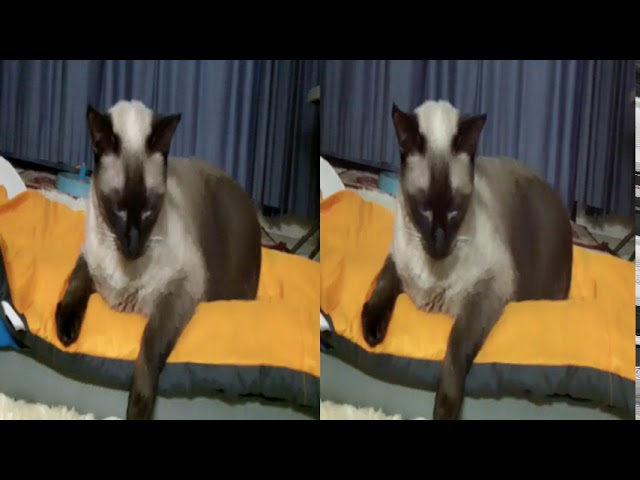 Sapphire & Diamond in Stereoscopic 3-D