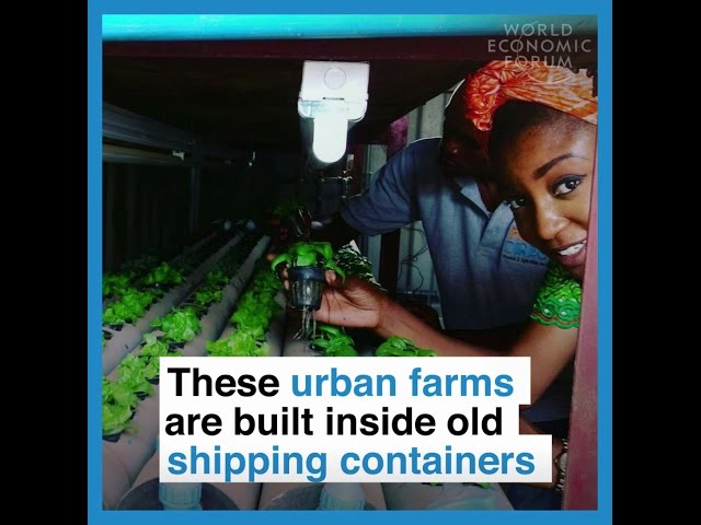 Rwanda is beating the US and France at gender equality