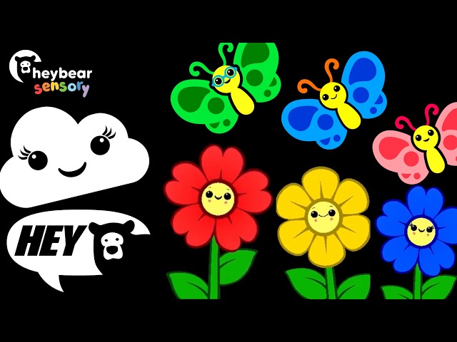 Hey Bear Sensory - Rainbow Flowers - High Contrast Animation with Classical Style Music