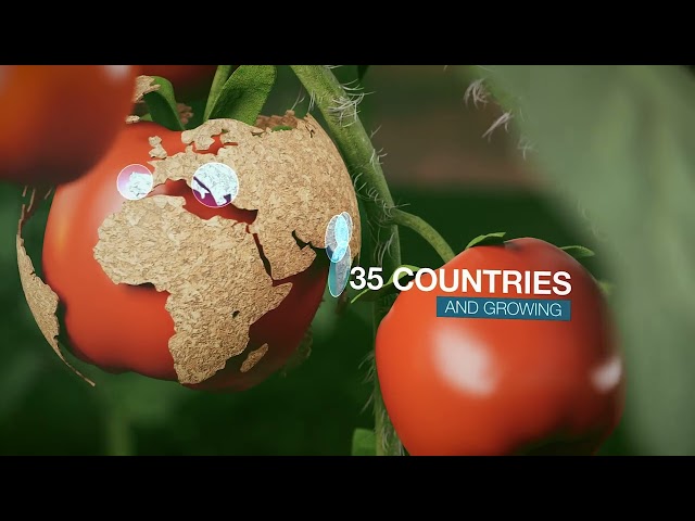 Media Facilities - Animation Reel (24-3)