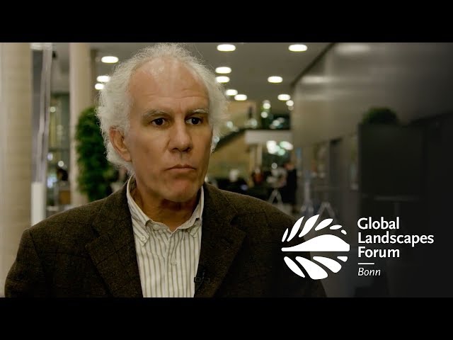 CIFOR@GLF: Building the skills to restore forest landscapes