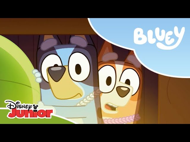 🍫 Polowanie na czekoladę | Bluey | Disney Junior Polska