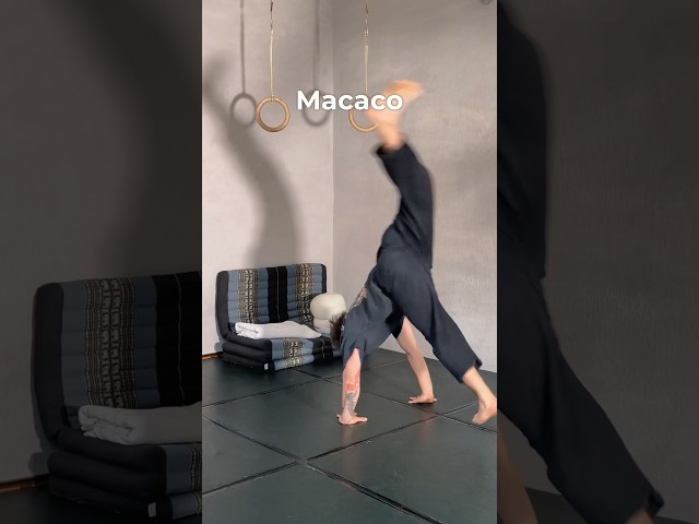 Improve Your Macaco In 3 Steps