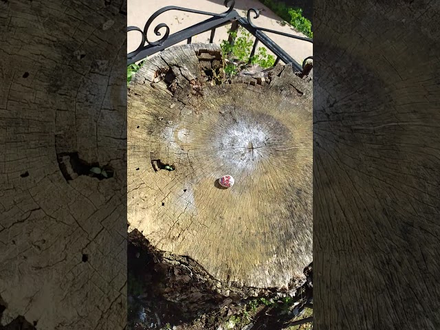 west hazleton pennsylvania mcglynn quinn lesney prokopovich larock moser shafebook