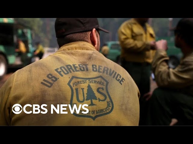 Trump administration to move U.S. Forest Service HQ and shutter research facilities in 31 states