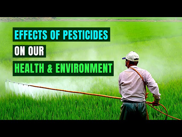 Devastating Effects of Pesticides on Our Health and Environment