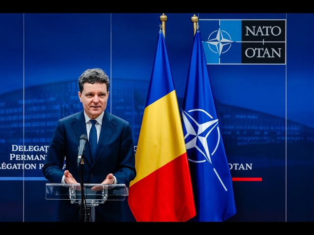 Press statements held in Brussels, Kingdom of Belgium