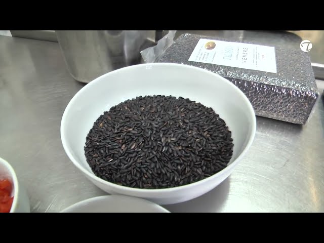 What is black rice and how do you cook it? @TopfguckerTV #food #cooking