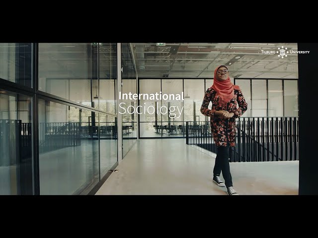 Bachelor International Sociology - Tilburg University