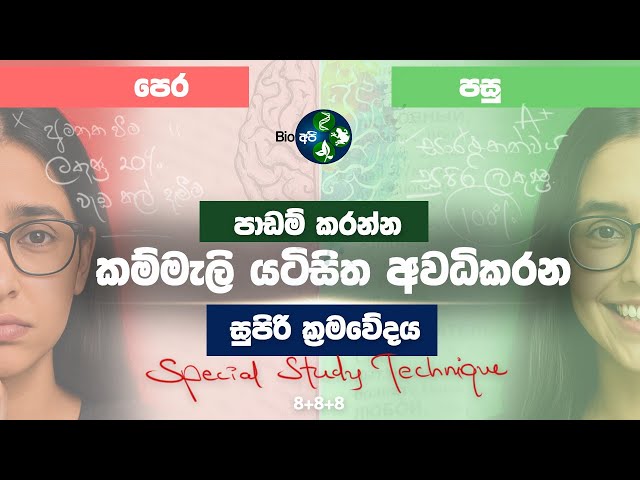 මේ වැඩේ කරොත් ඔයත් ගොඩ - Special 8+ Rule for Students  | Study Tips in Sinhala - Bio Api