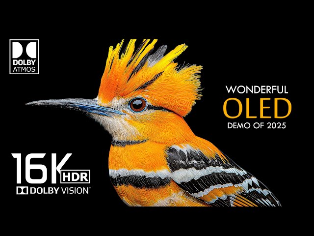 Best of Dolby Atmos  - 16K Video ULTRA HD 120 FPS - Dolby Vision HDR