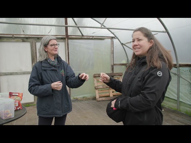 What can we learn from Cornwall's food system?
