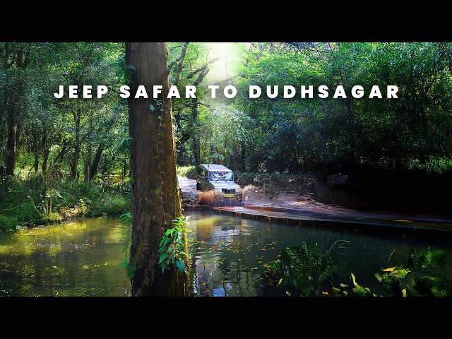 GOA SERIES - DUDHSAGAR WATERFALL JEEP SAFARI