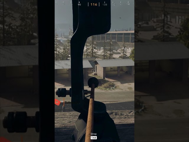 Betya #Shorts | Wild Hunter