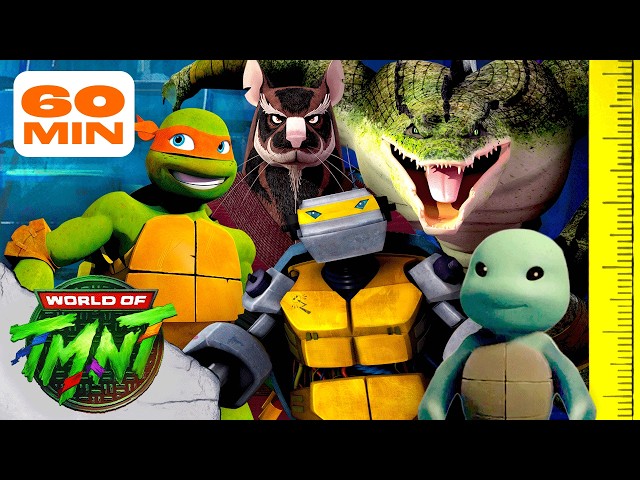 Ranking Teenage Mutant Ninja Turtles Characters by HEIGHT! 📏 |  TMNT (2012)