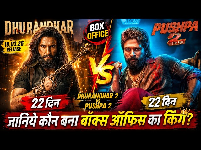 Dhurandhar 2 Vs Pushpa 2 Box Office Collection Comparison 22 Days Worldwide Collection, Ranveer