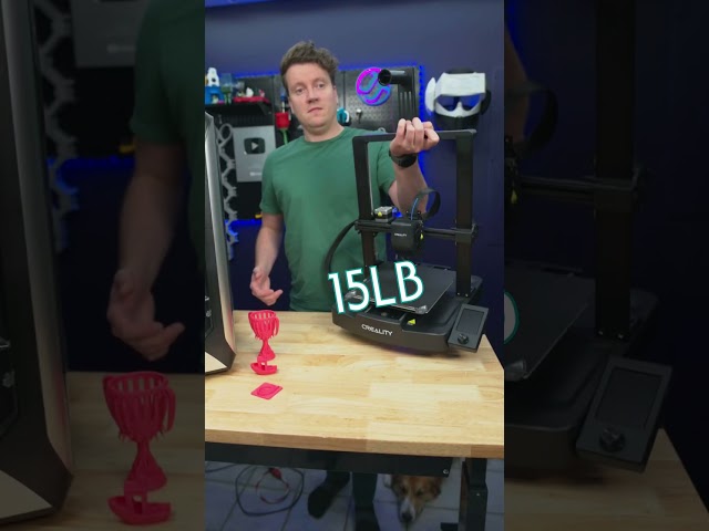 Expensive vs Cheap 3D Printer 💲