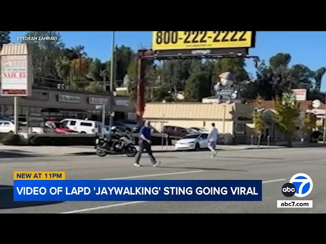 Viral LAPD operation involving jaywalking pedestrians sparks debate online