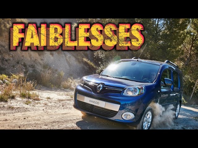 Pourquoi ne pas acheter une Renault Kangoo II (2007-2013)?