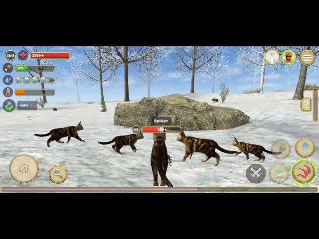 How to play with cat simulator