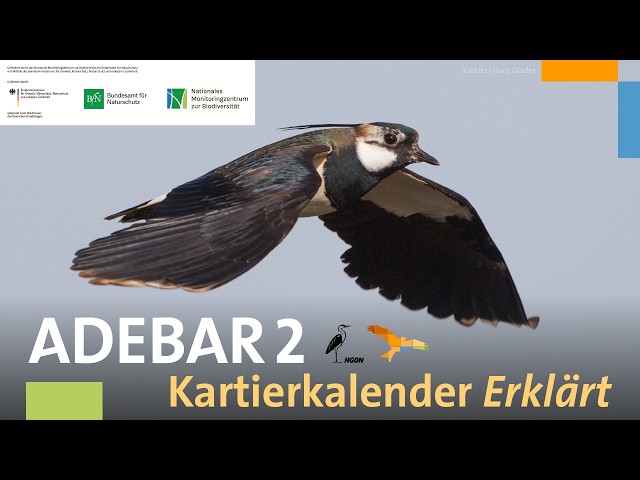 ADEBAR Kartierkalender Erklärt