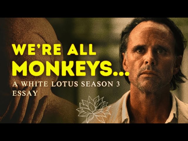 Monkey Symbology in White Lotus Season 3 - A Deep Dive