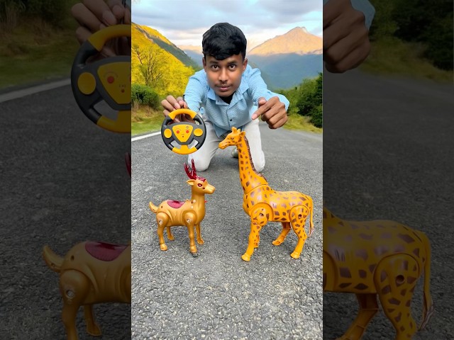 Rc Remote Wala 2 Ta Deer And Giraffe Dise 😍