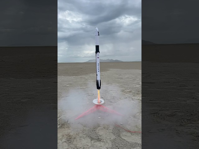 Falcon 9  from @EstesRockets1