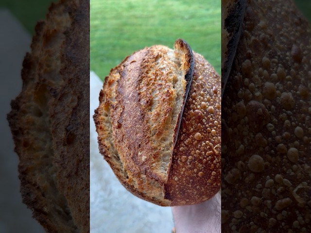 How to Use a Dutch Oven for Sourdough #sourdoughbread #bread