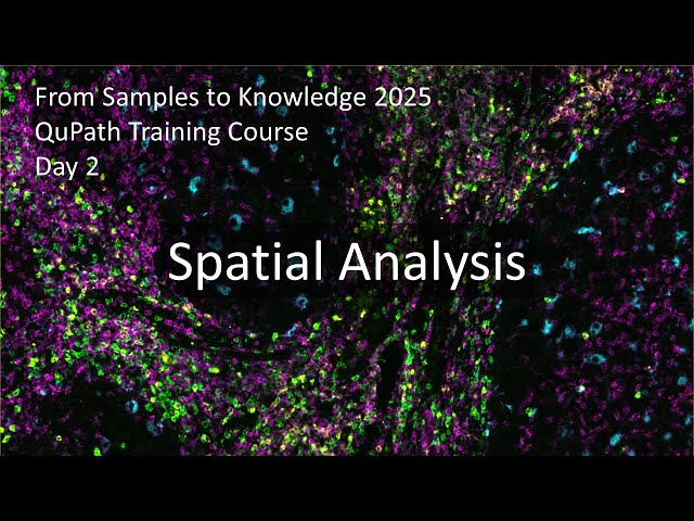 Spatial Analysis and Quantifying Cell-to-Cell Interactions