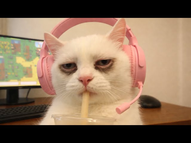 UNEXPECTED MEMES COMPILATION 9