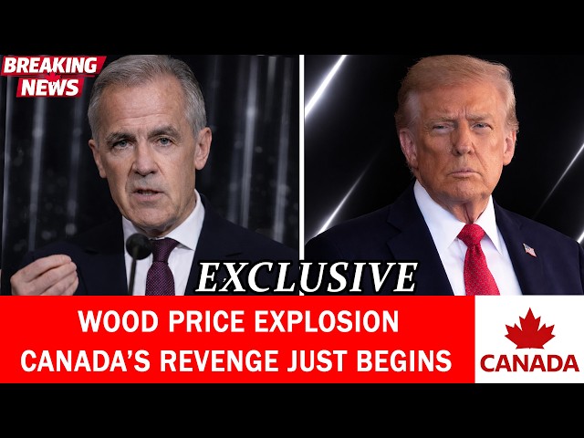 OUT OF NOWHERE: Canada Hits Record Lumber Prices — U.S. Faces Housing Shock | Rosemary Barton