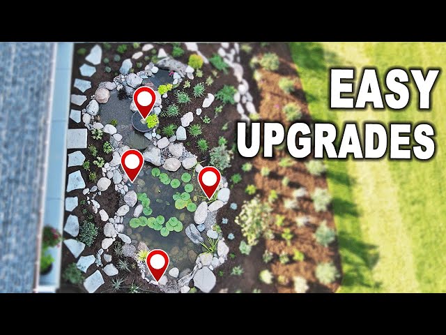 Simple DIY Projects to Improve Your Backyard Pond