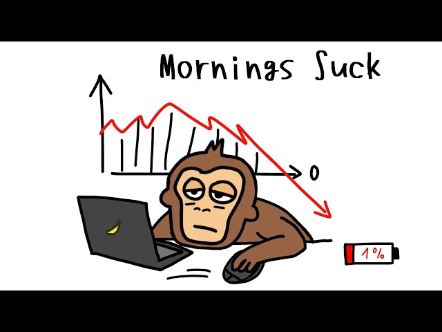 Monkey’s Morning Routine That Makes Every Day Easy (Waking Up With Energy)