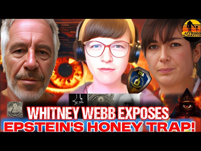 Whitney Webb on Epstein & Intelligence Filmed 2020