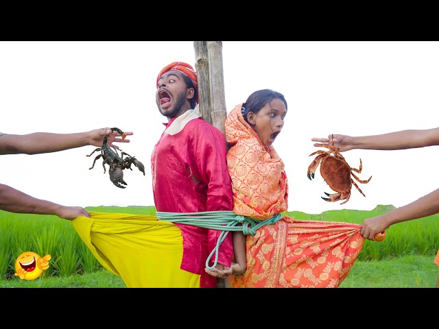 Funniest Fun Top New Comedy Video 2025 😂 amazing best of funny video Episode 1010 By Haha Idea