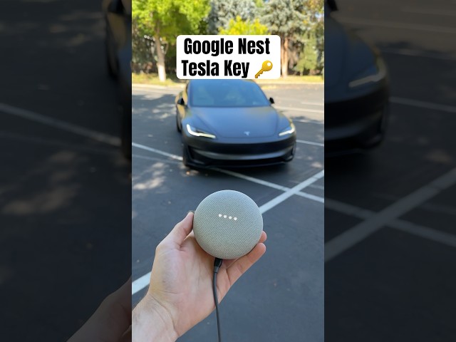 Can I Unlock My Tesla With a Google Nest Mini?? 😳👀