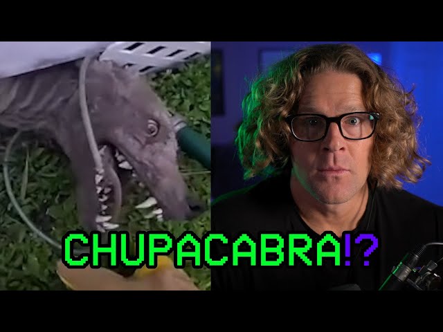 CREEPY TikTok Videos V.29