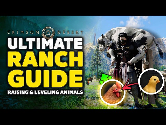 Crimson Desert ULTIMATE Ranch Guide - How To Unlock Ranch, Farm Animals, Feed & Level Livestock Fast